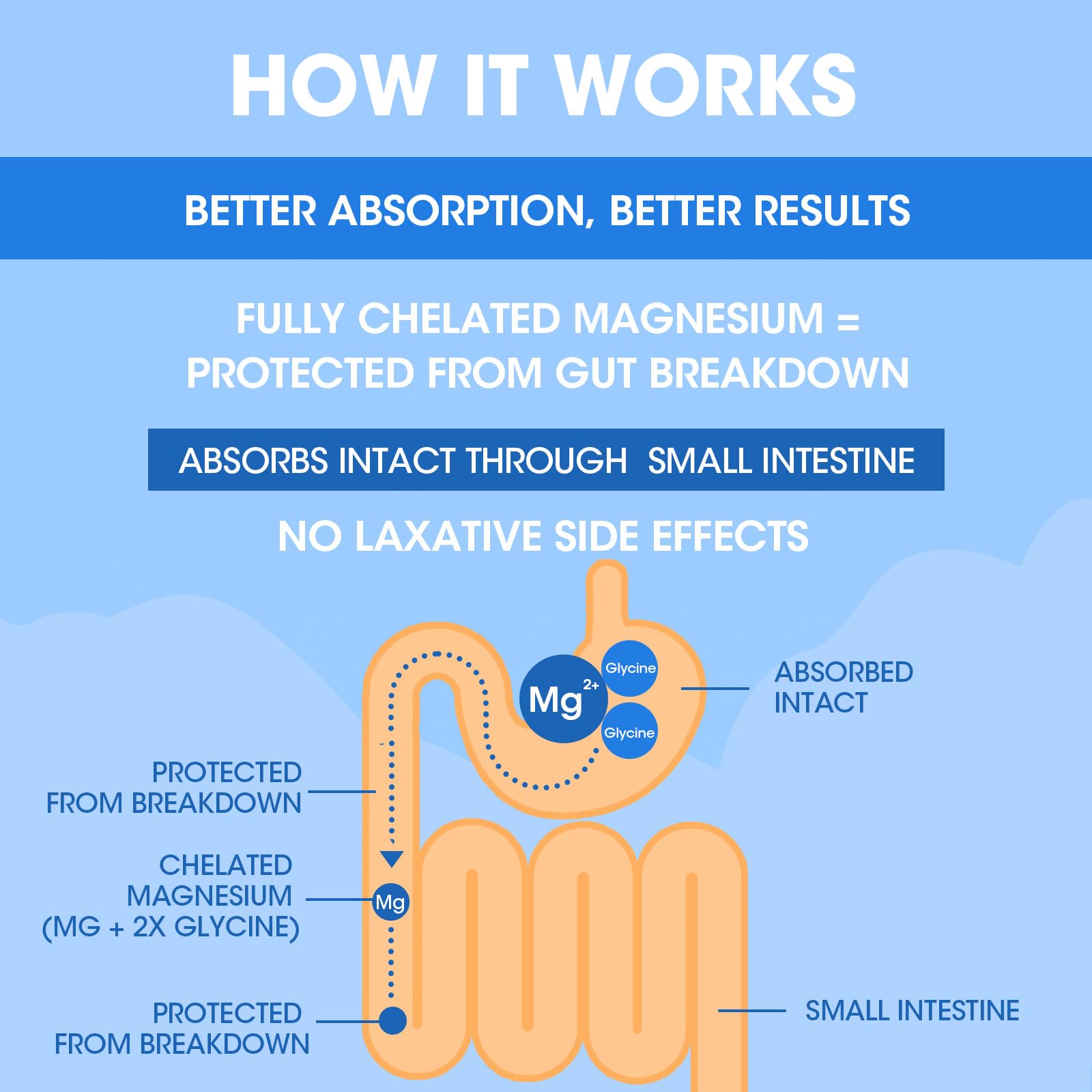 Alliwise bisglycinate bottle beside a glass of water for hydration-friendly intake.
