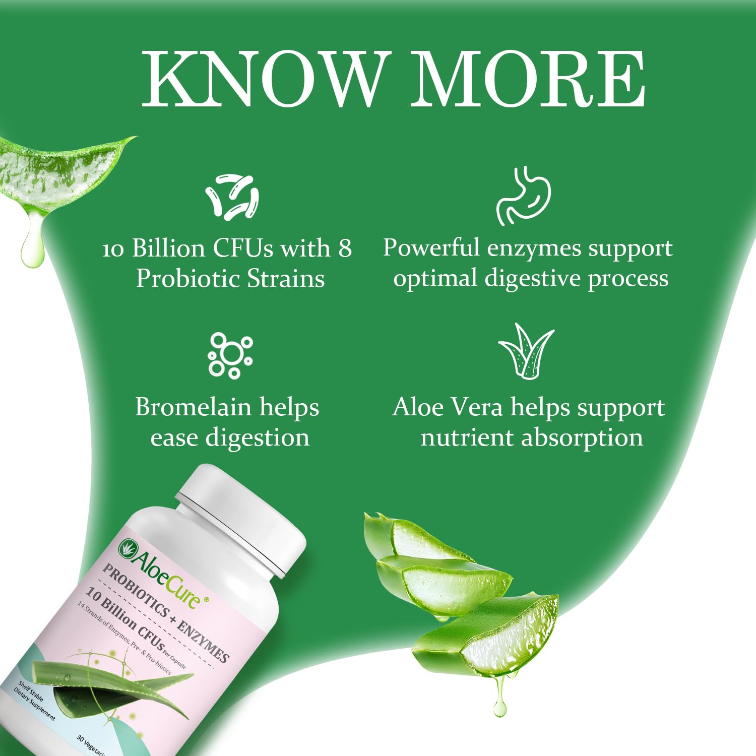 Aloe vera detail emphasizes natural bioactive plant goodness.