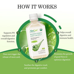AloeCure inner leaf gel close-up displaying natural texture for digestive support.
