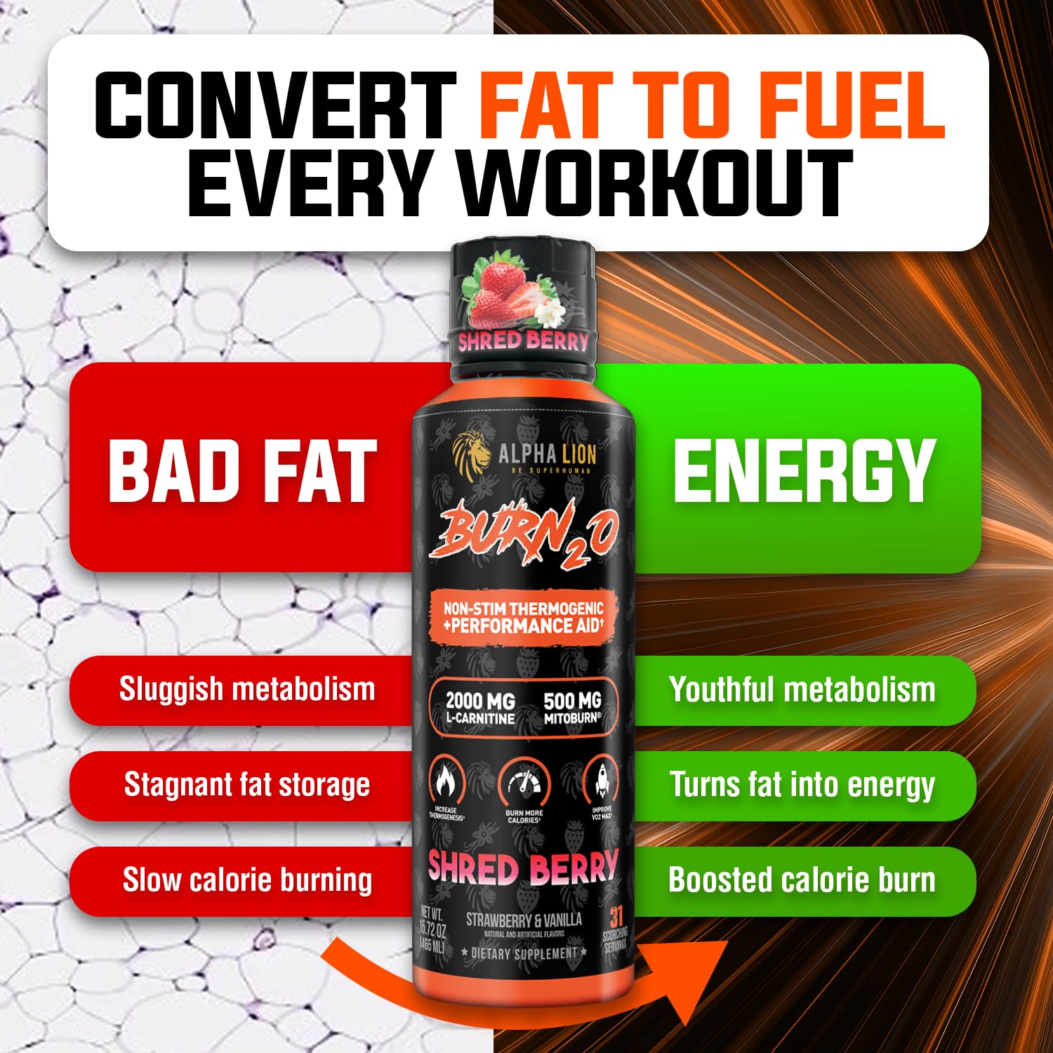 Close-up of Burn2O label highlighting vegan-friendly formula.