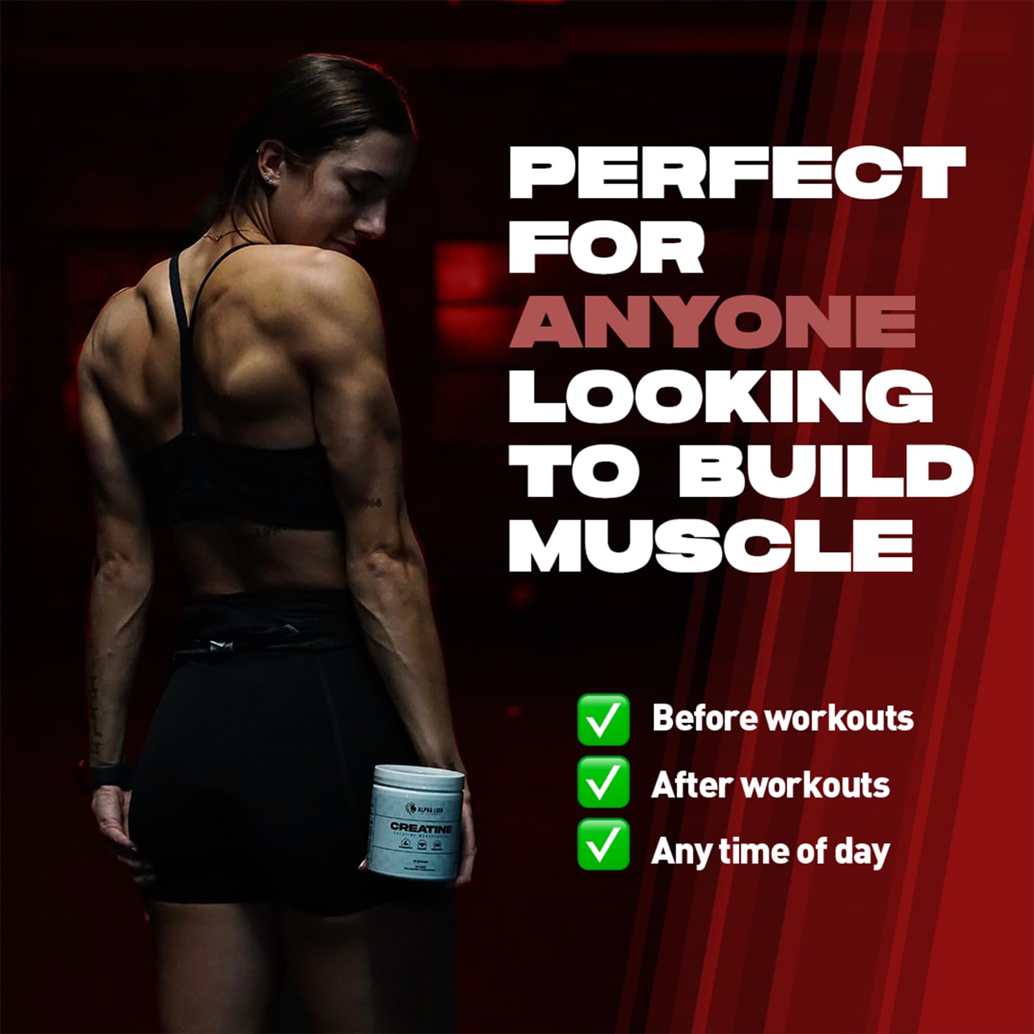 ALPHA LION Creatine Monohydrate Powder 60 servings container on shelf.