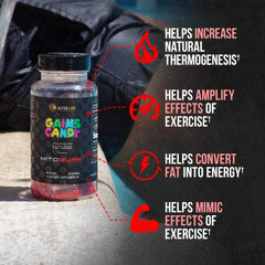 ALPHA LION Gains Candy MitoBurn label close-up highlights scientific dose and key ingredients.