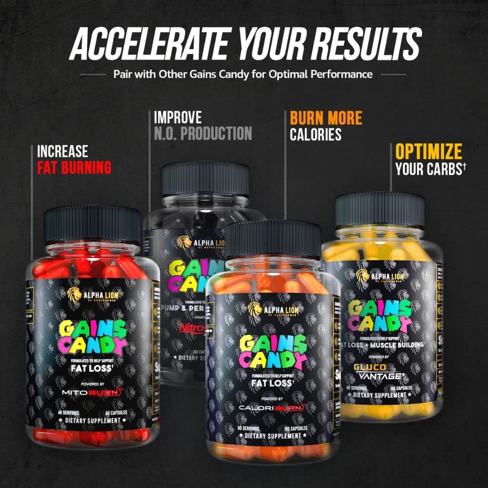 Gains Candy on a gym bench in an active workout setting.