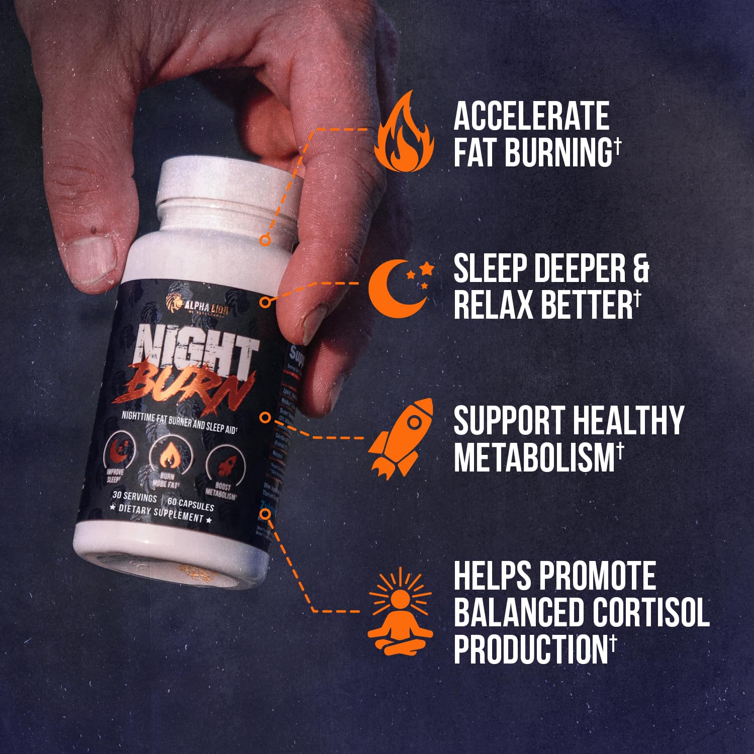 Alpha Lion Night Burn bottle back with label details and usage notes