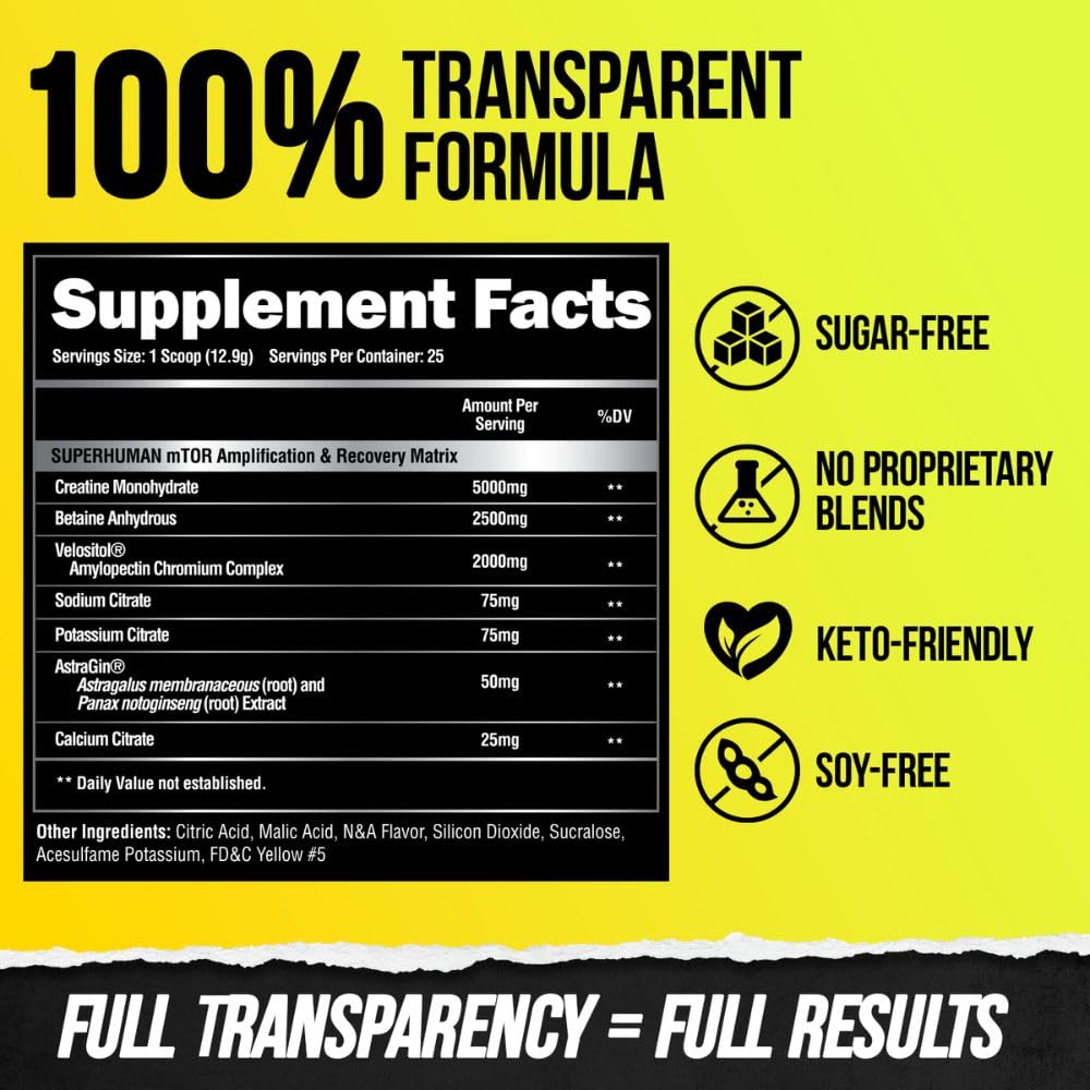 Alpha Lion Superhuman Post ingredient blend closeup, featuring creatine and leucine profile.