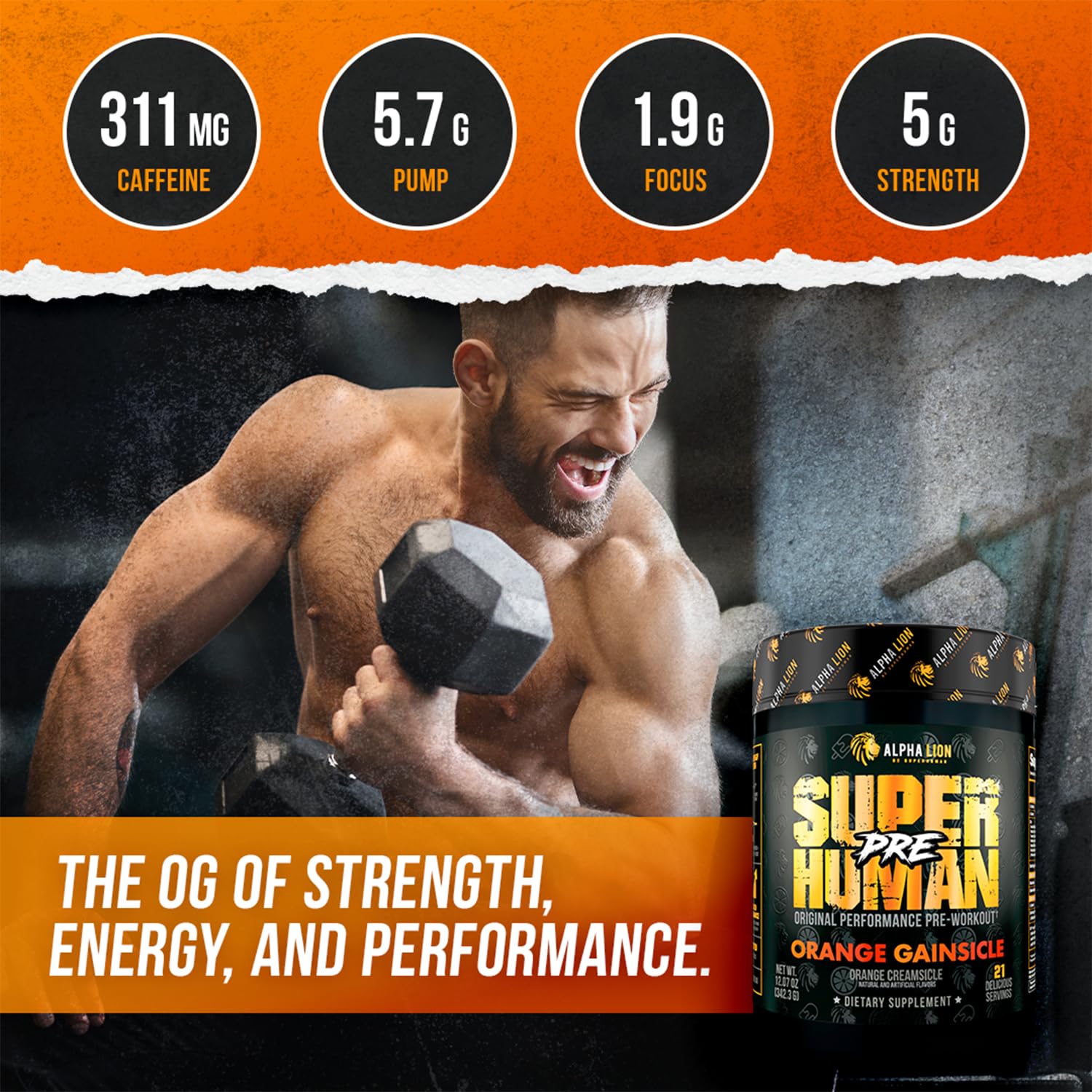 Graphic of ALPHA LION SXT sustained energy system highlighting focus potential.