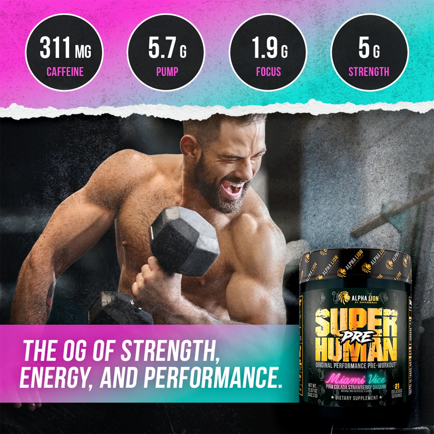 ALPHA LION SXT energy system graphic showing sustained focus.