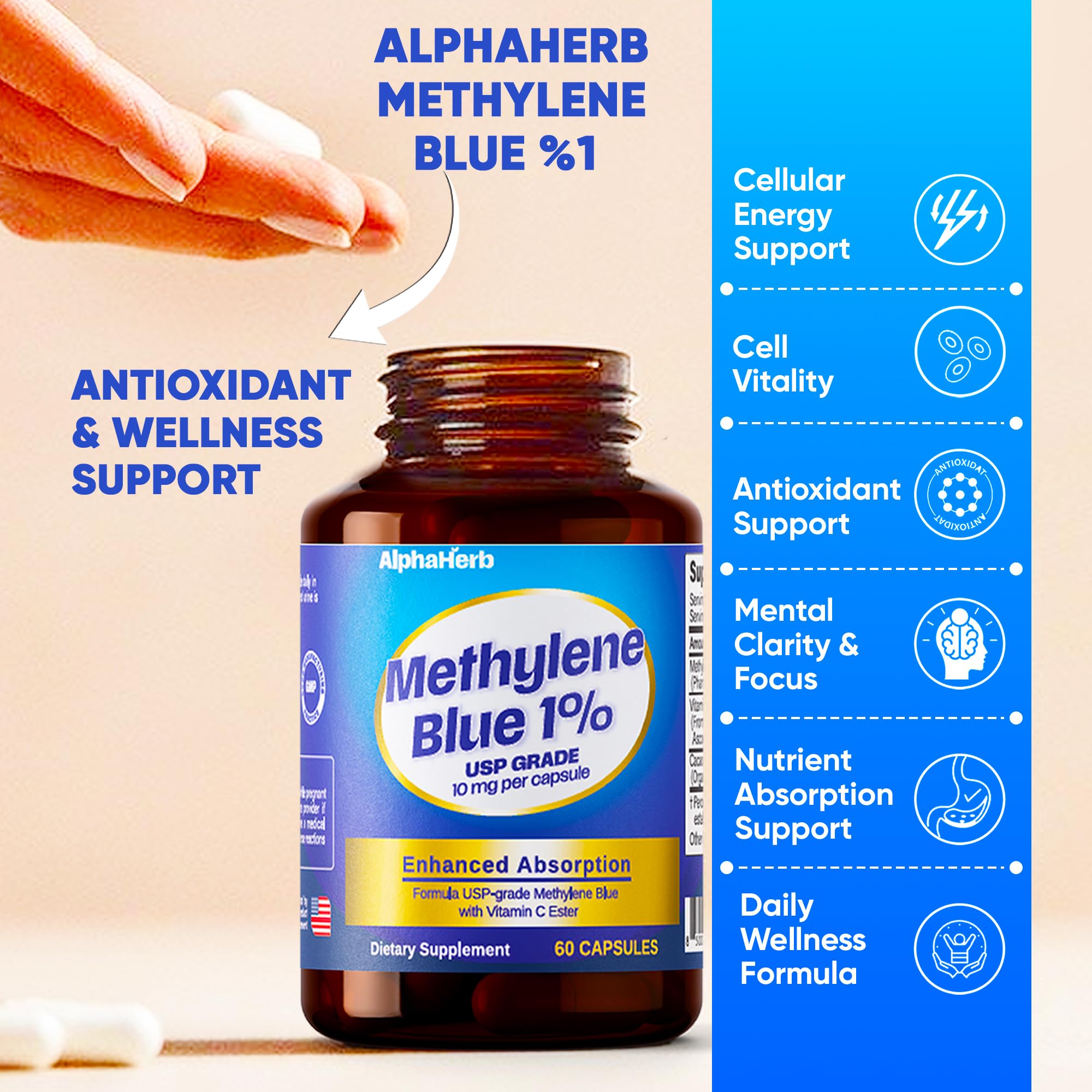 AlphaHerb Vitamin C Ester ingredient detail supporting antioxidant protection
