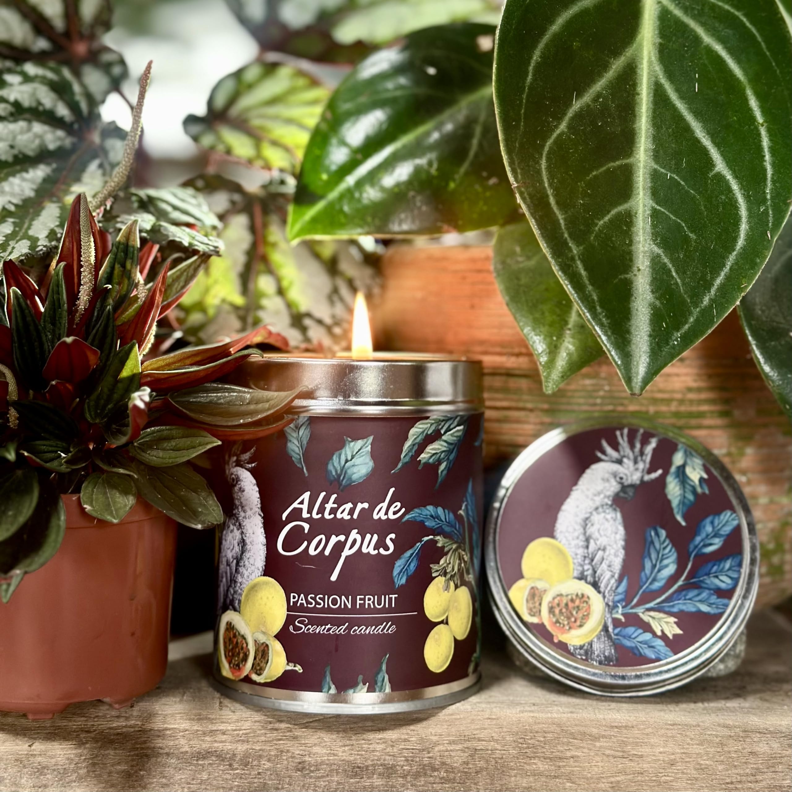 Altar de Corpus Soy Wax Blend Candle Detail—rich fragrance and clean burn.