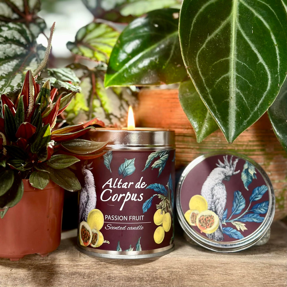 Altar de Corpus Soy Wax Blend Candle Detail—rich fragrance and clean burn.