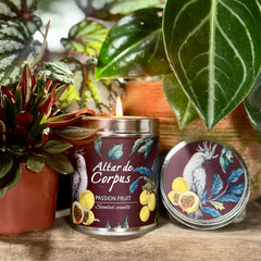 Altar de Corpus Soy Wax Blend Candle Detail—rich fragrance and clean burn.