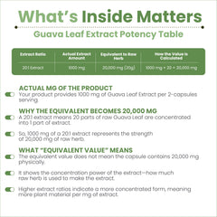 AMALTH Guava Leaf Extract capsules ready for daily use