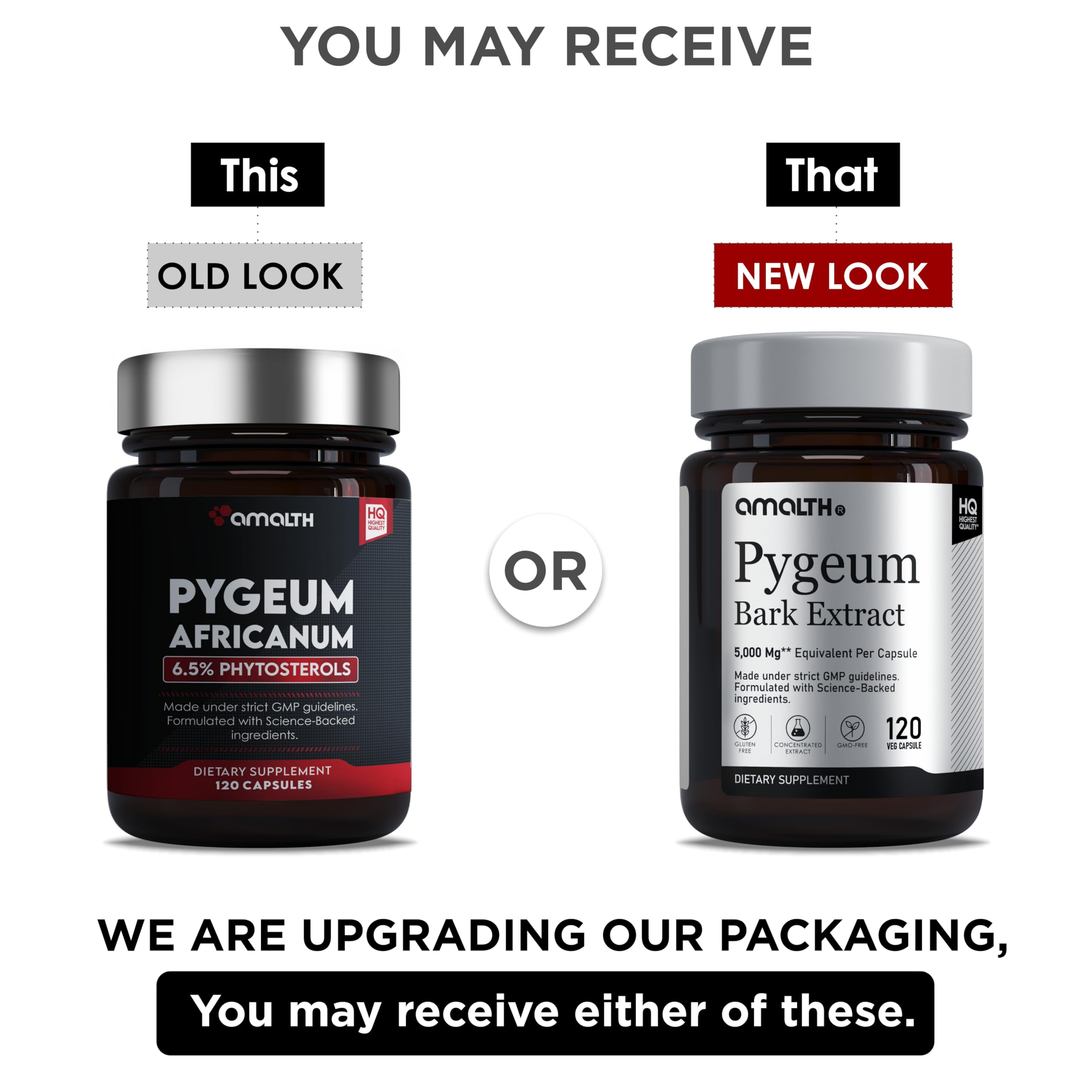 Close-up of Pygeum powder texture highlighting rich phytosterol content.
