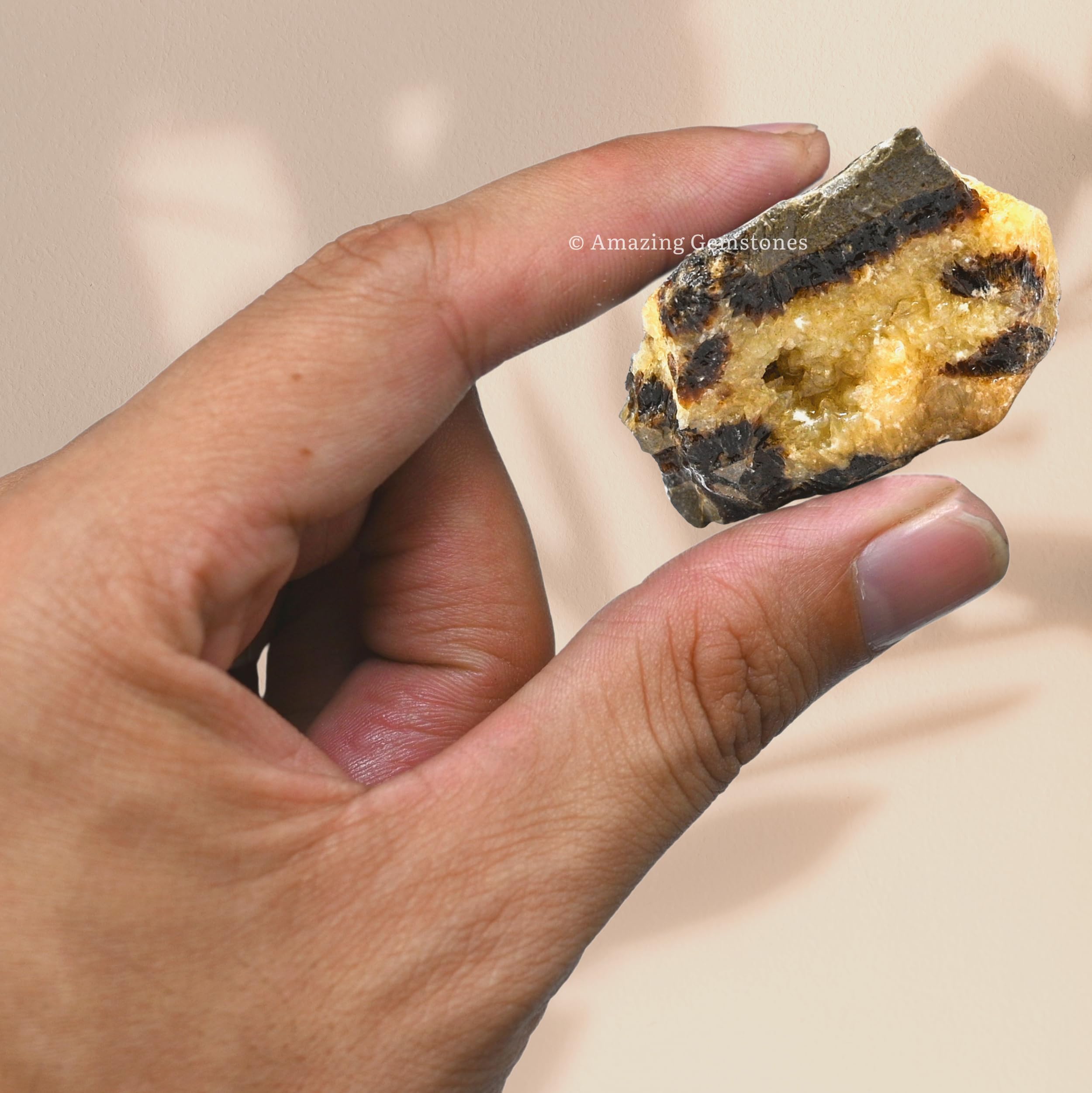 Amazing Gemstone septarian earthy tones showcasing natural patterns and textures