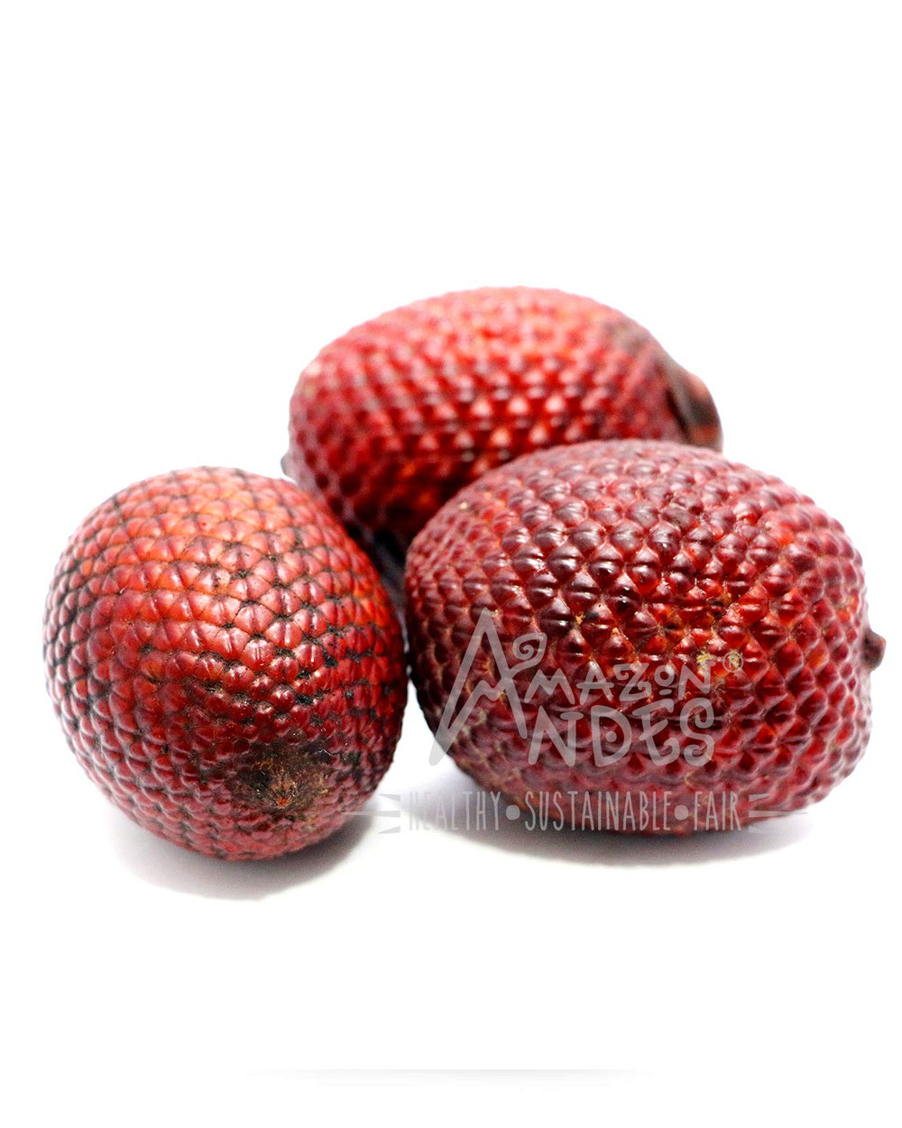 Amazon Andes Aguaje oil softgel capsules manufactured in GMP facility.