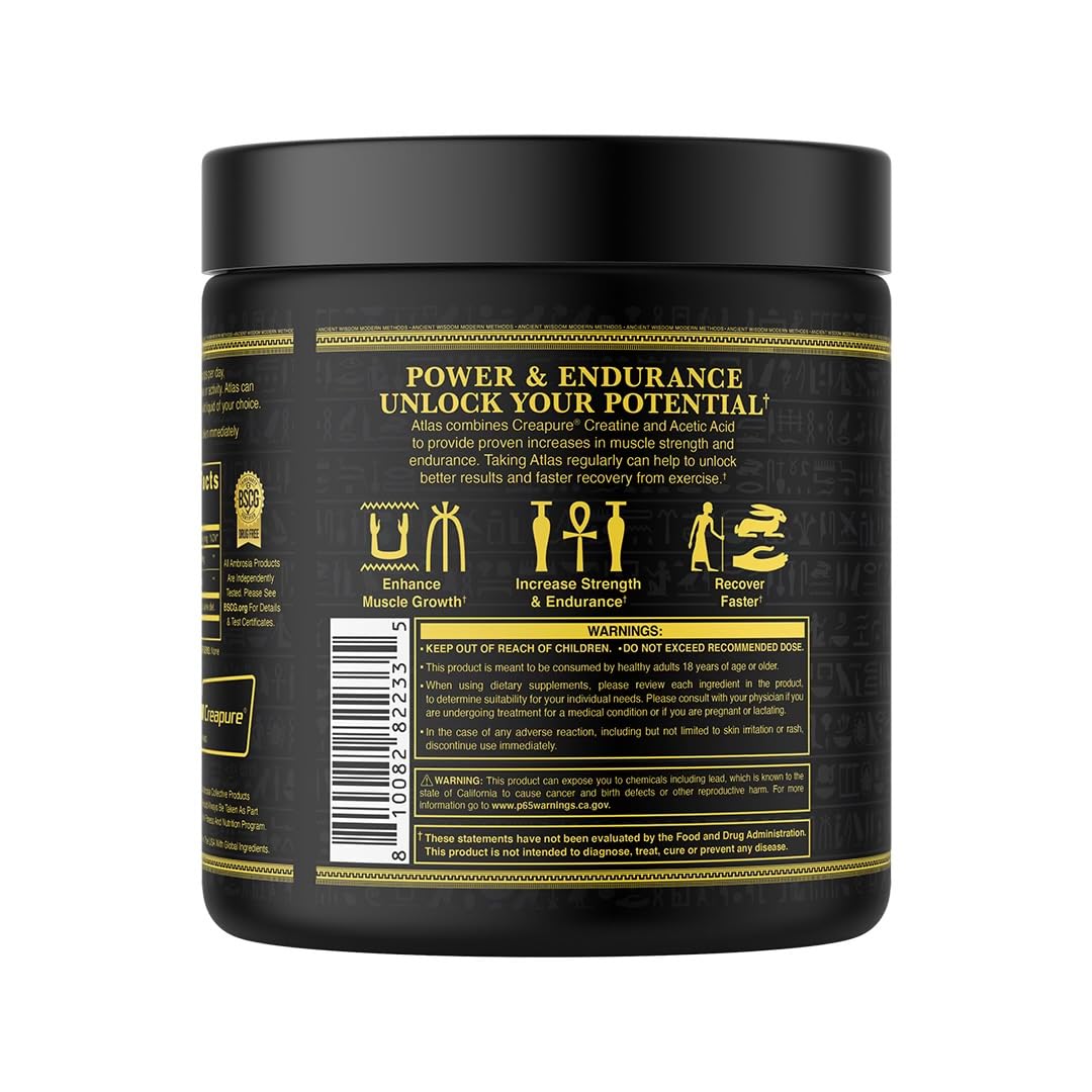 Ambrosia Atlas endurance-boost setup emphasizes sustained effort and recovery.
