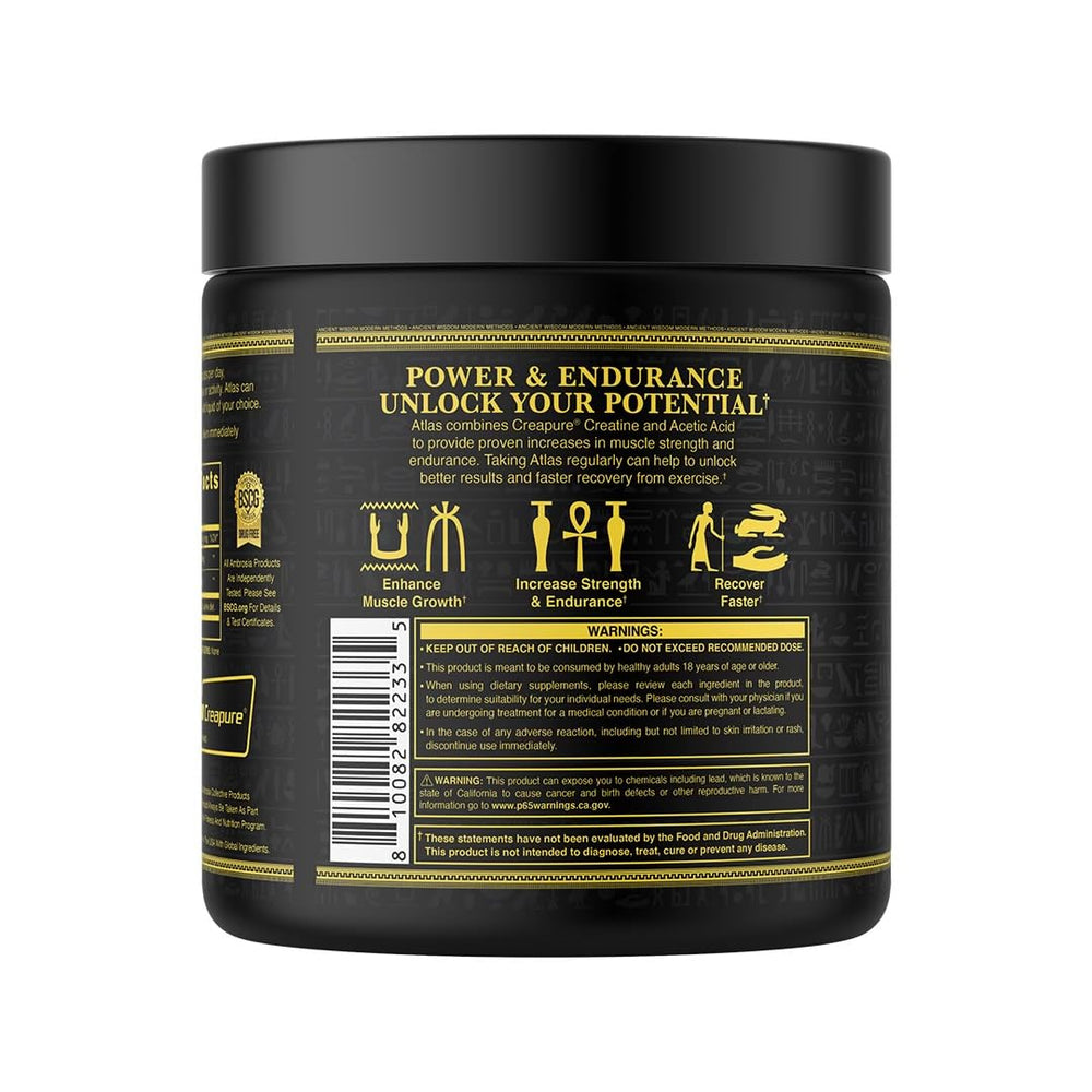 Ambrosia Atlas endurance-boost setup emphasizes sustained effort and recovery.