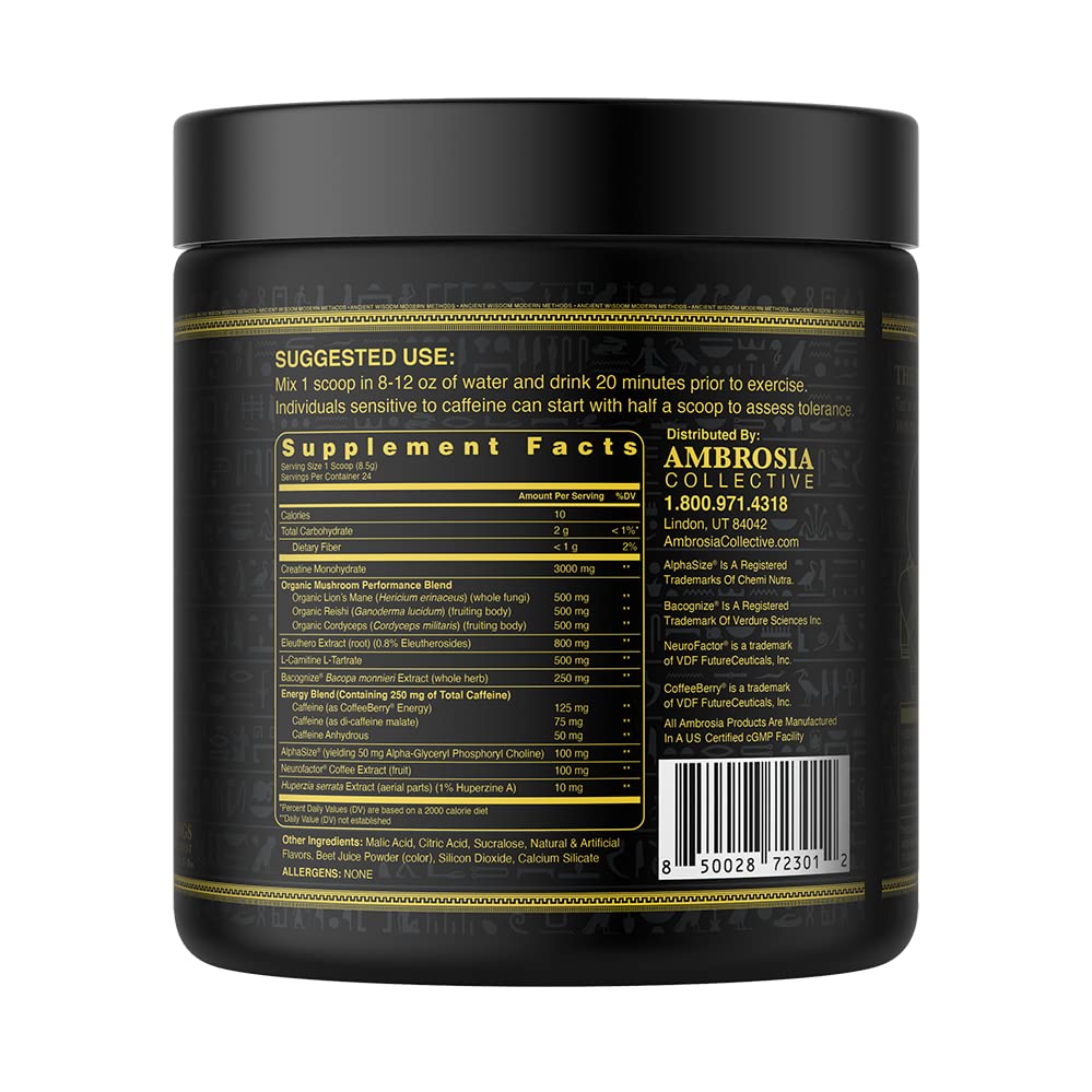 Ambrosia Kinetic mushroom nootropic blend jar emphasizes cognitive clarity and sustained effort.