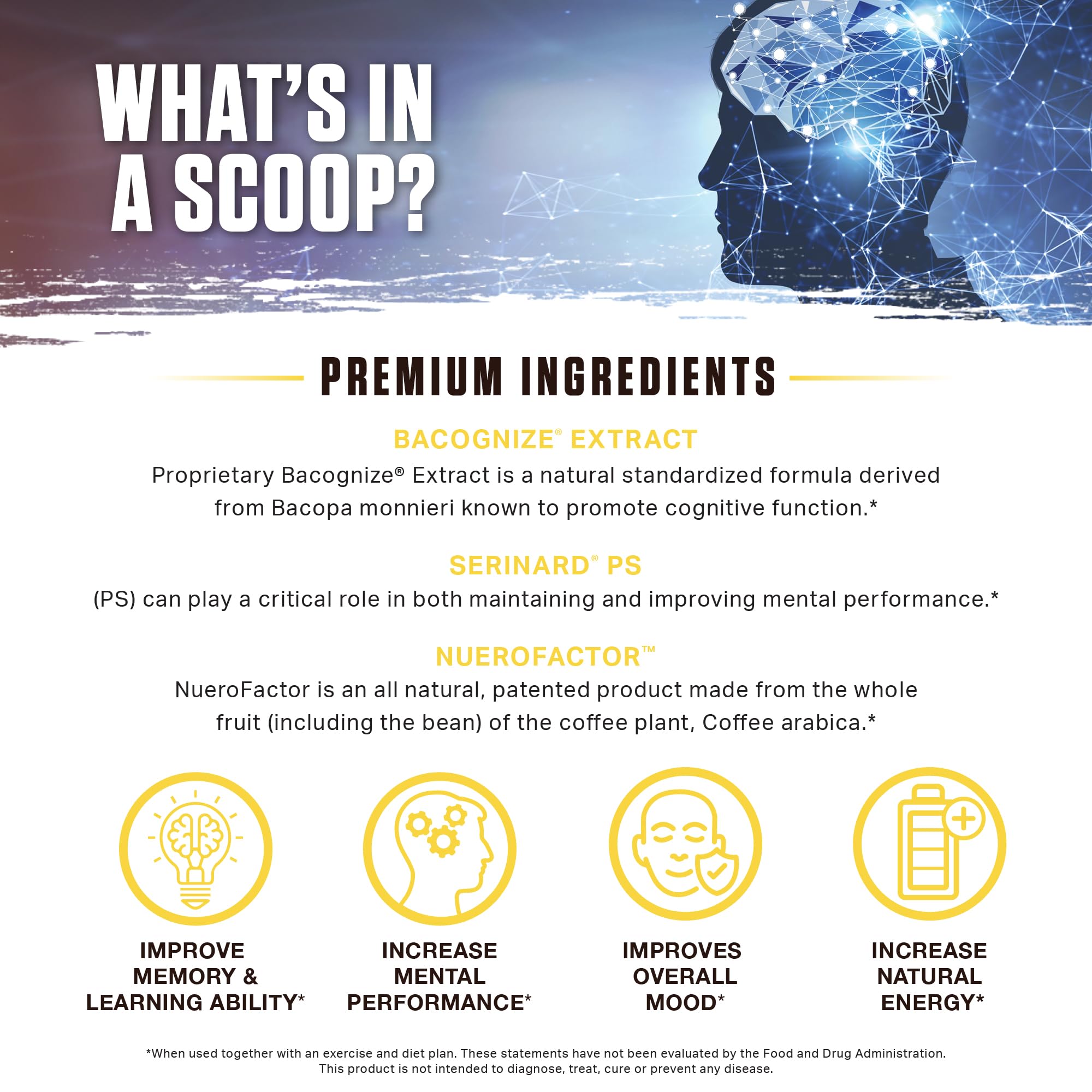 Ambrosia Mental Jewels label closeup highlights ingredients for potential cognitive support.