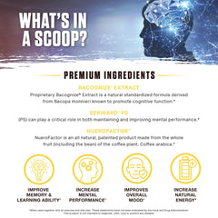 Ambrosia Mental Jewels label closeup highlights ingredients for potential cognitive support.