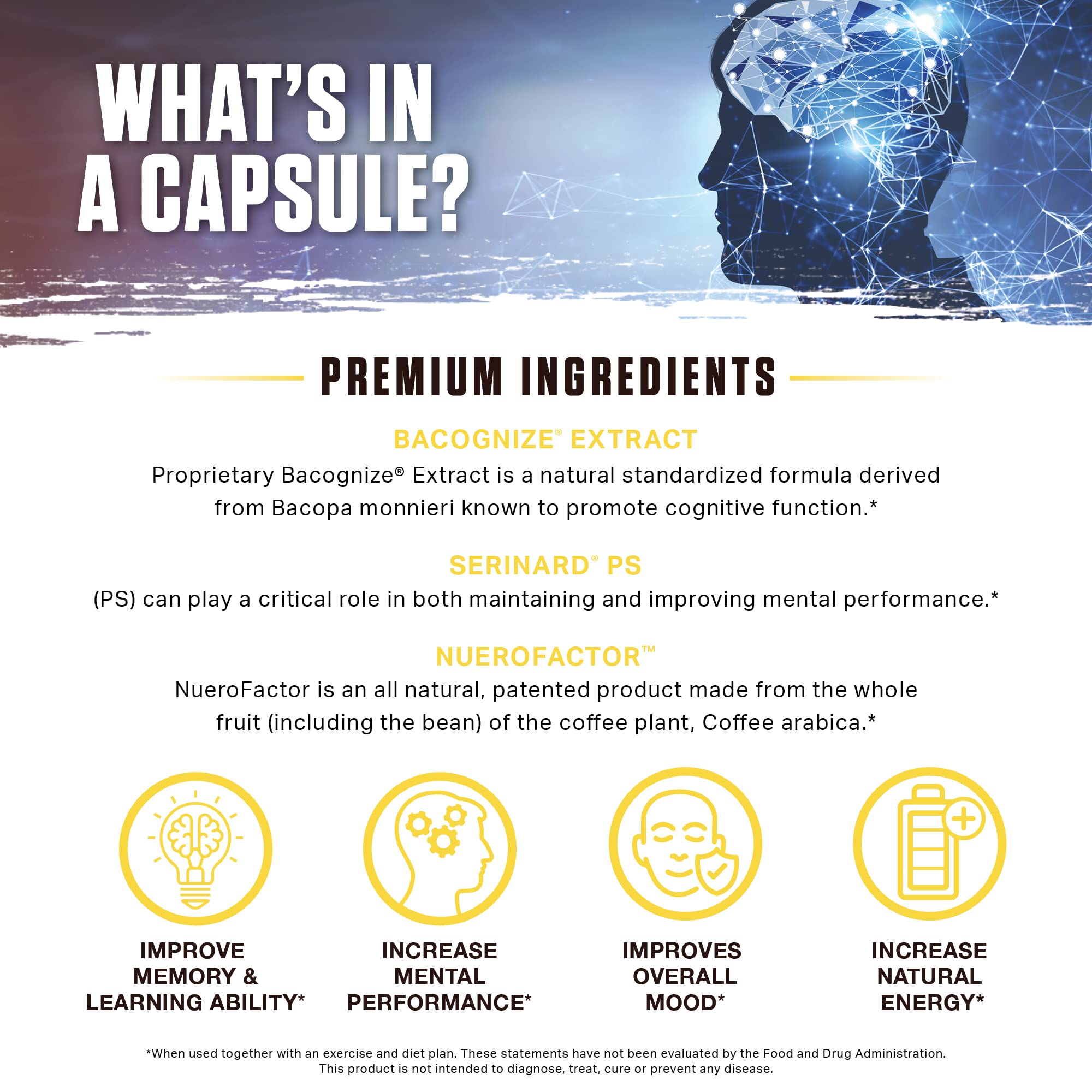 Ambrosia Mental Jewels label design highlights AlphaSize and BaCognize ingredients