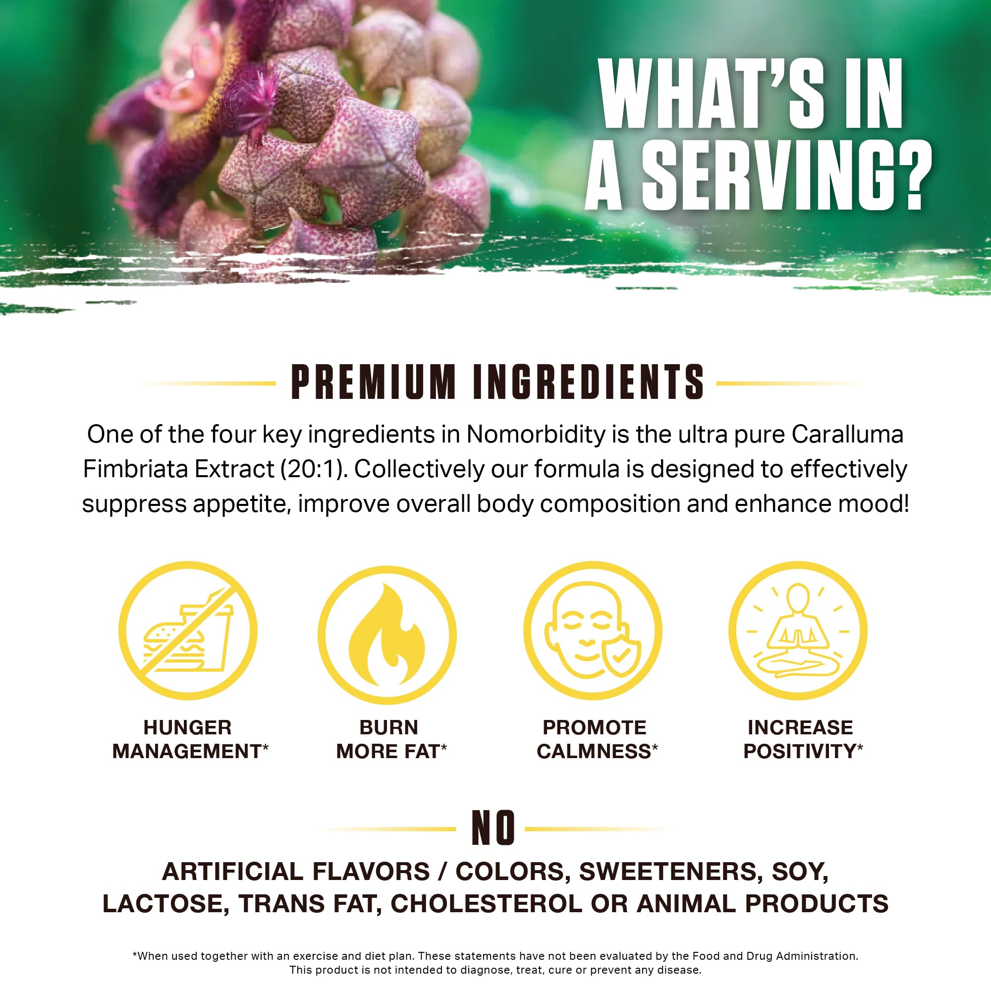 Nomorbidity bottle being poured for simple serving and routine integration.