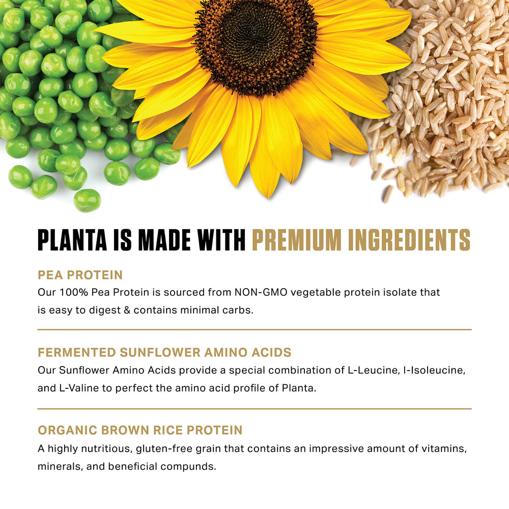 Ambrosia Planta serving ideas with shake on table