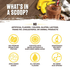 Ambrosia Planta SunBCAA amino acids icon suggests recovery-oriented formula.