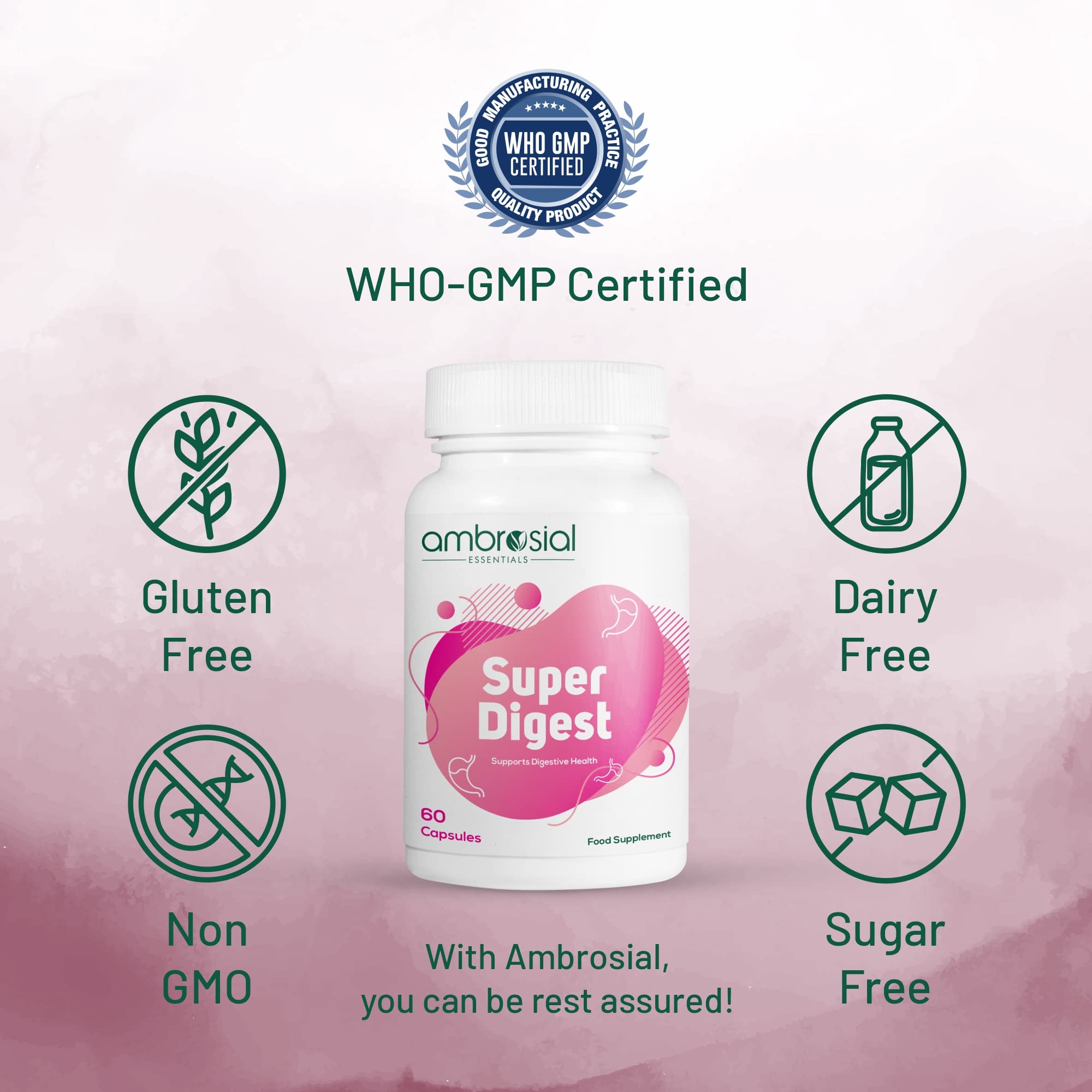 Use with meals for potential digestive comfort on busy days
