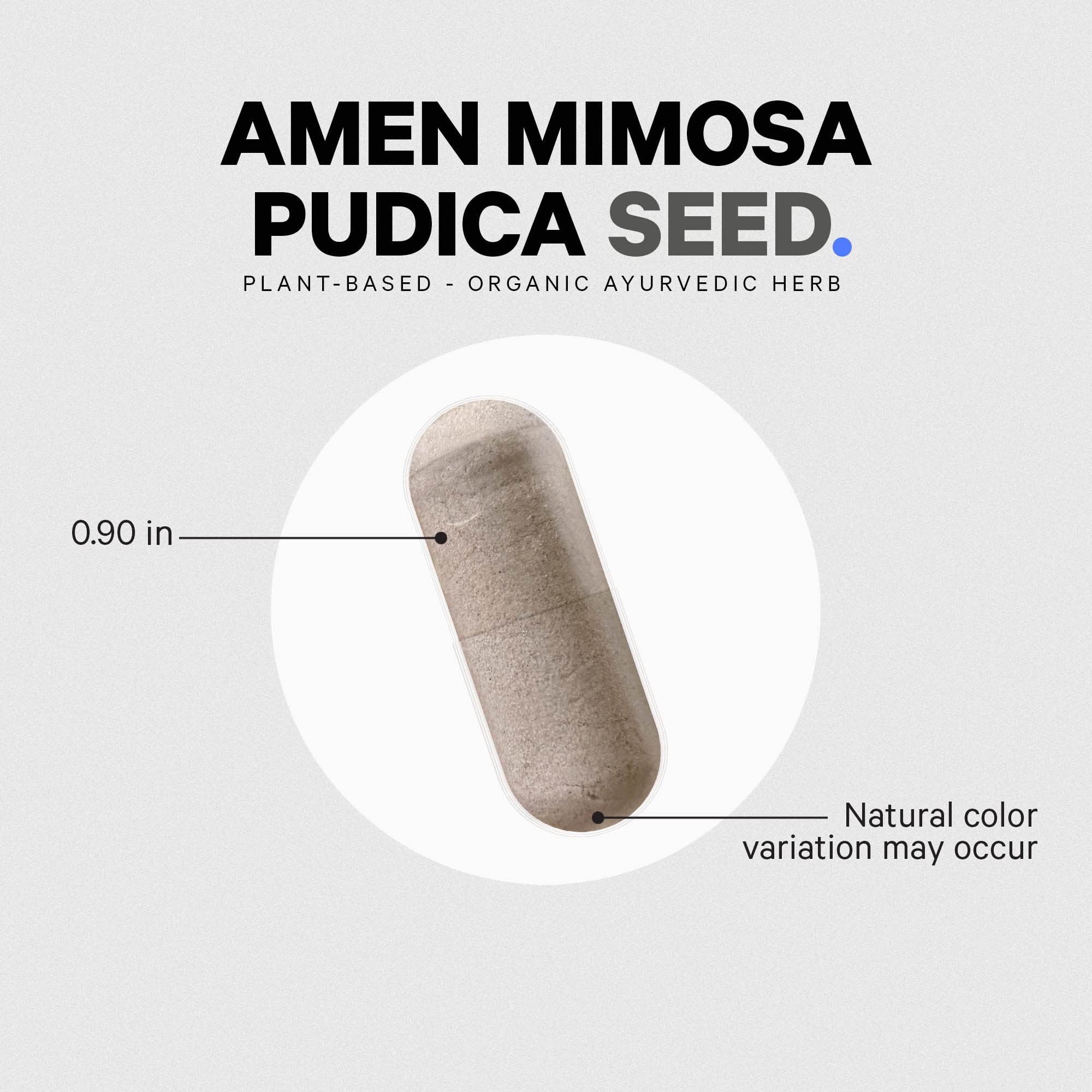 Amen Mimosa Pudica Seeds capsules beside a glass of water for easy swallow.