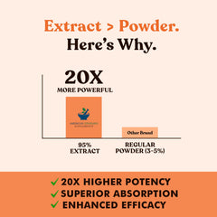 American Standard Black Pepper extract granules boosting capsule absorption