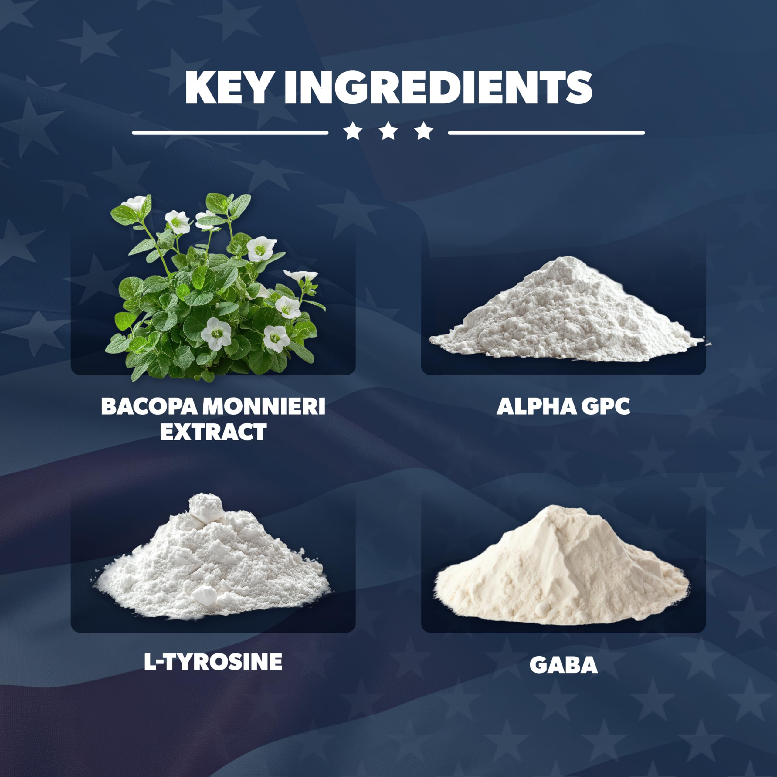 AMERICAN VITALITY Brain Formula label detail highlighting vegan gluten-free formula