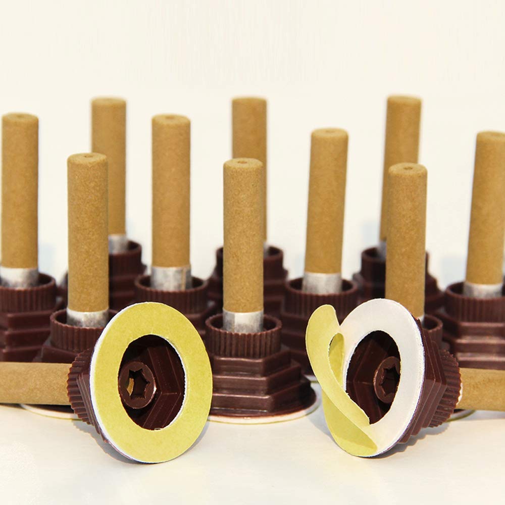 AMTOOCH Moxa sticks box 60pcs neatly arranged for daily sessions.