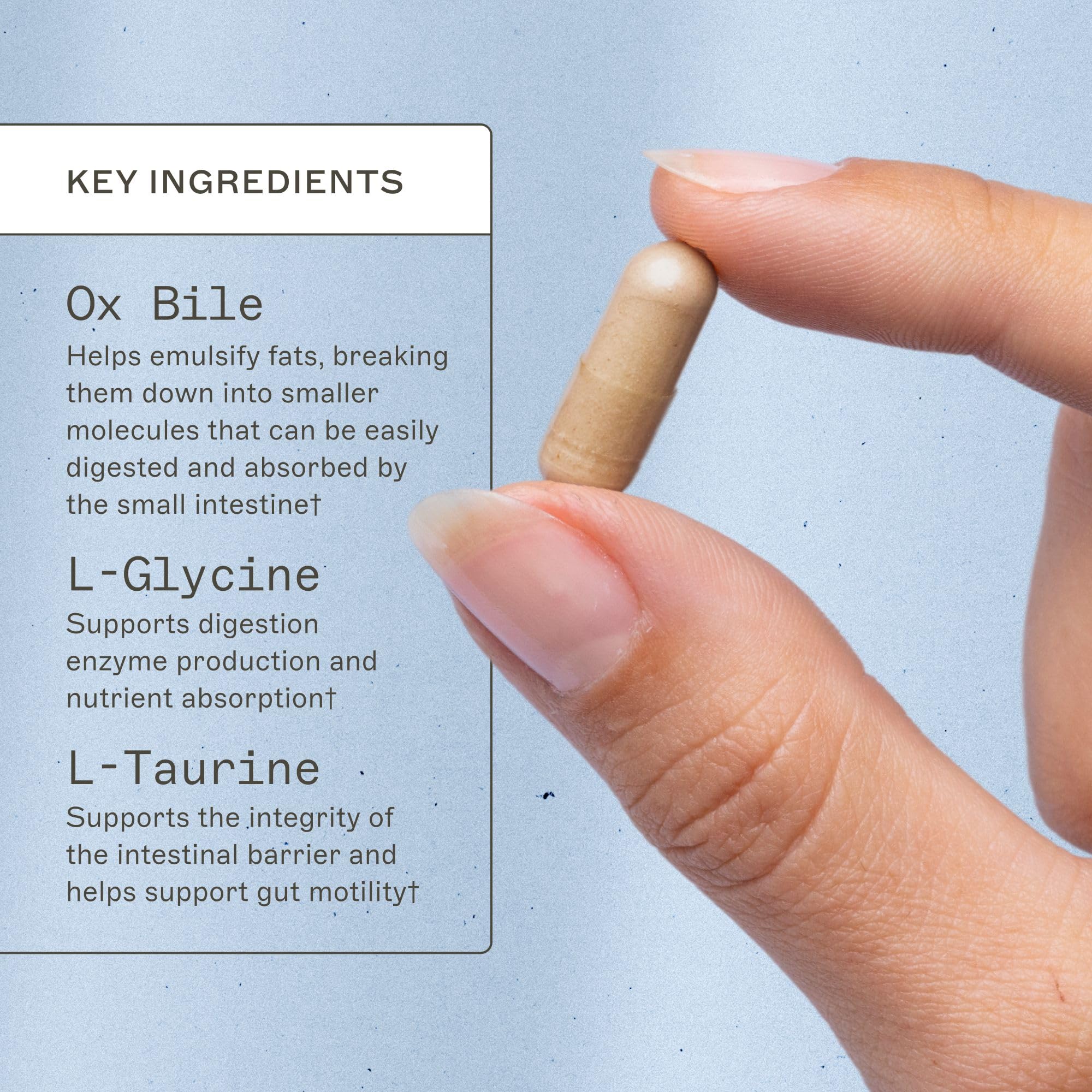 Amy Myers MD Bile Builder Complete capsules close-up illustrating digestive support