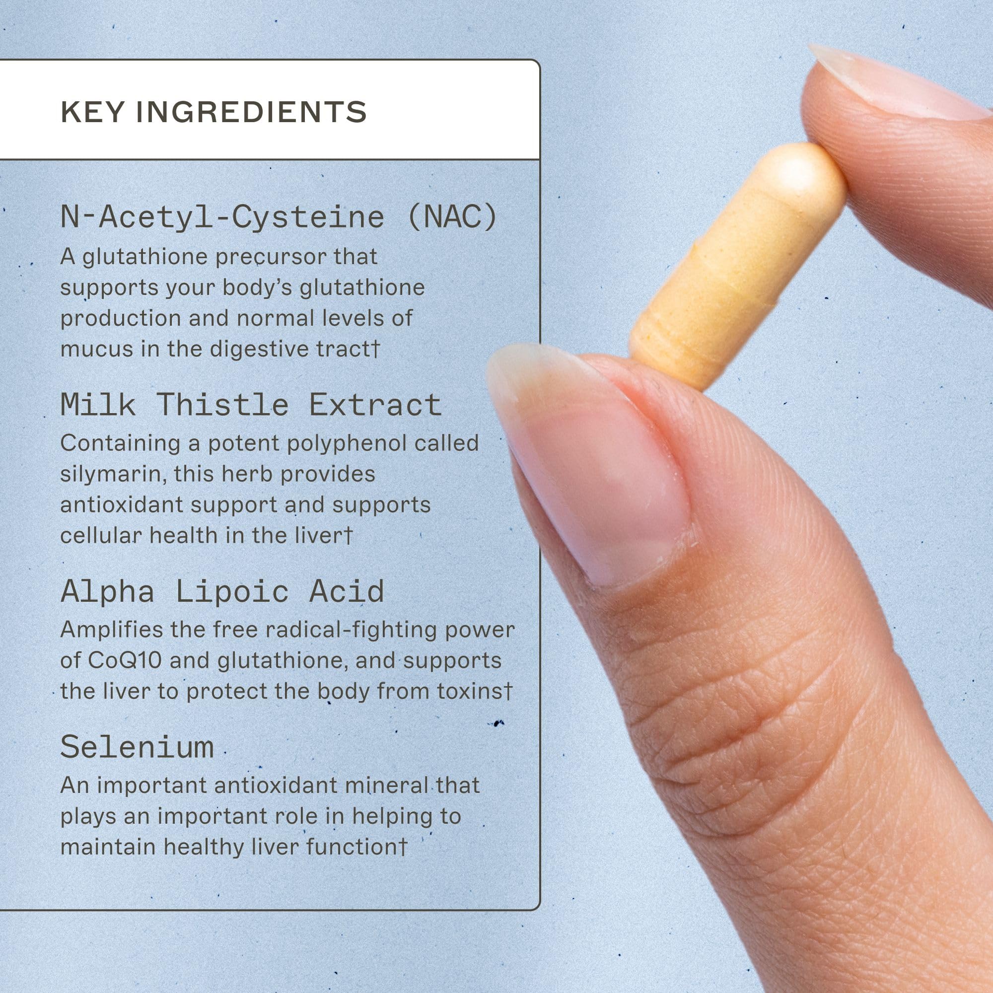 Amy Myers MD Liver Support capsules close-up highlights milk thistle and turmeric.