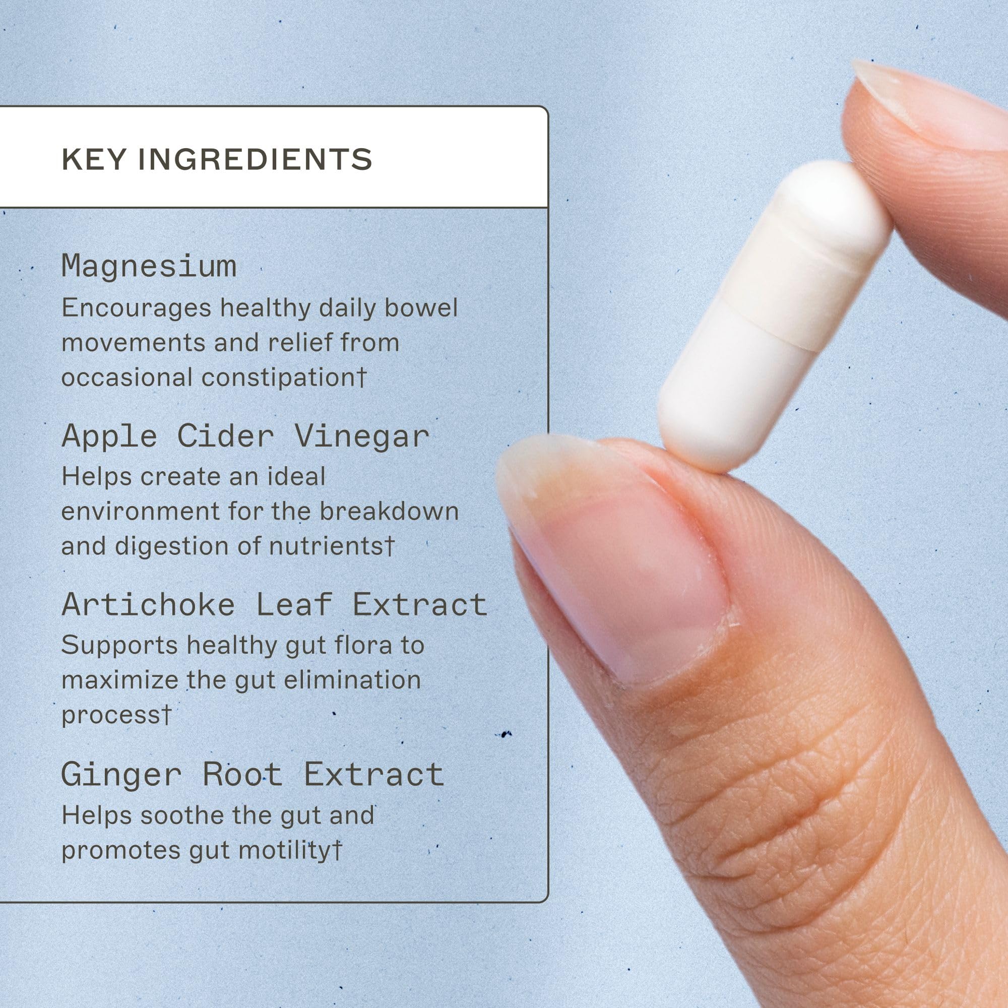 Apple cider vinegar component in MagMove supporting digestion and nutrient breakdown.