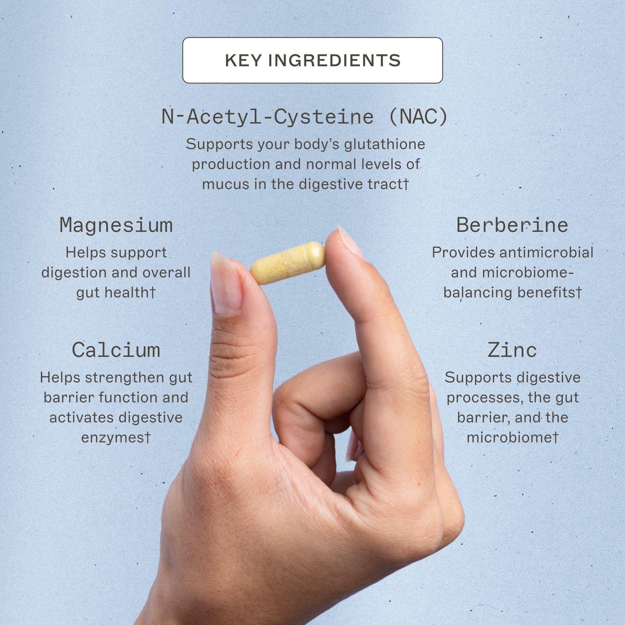 Amy Myers MD Microb-Clear capsules pouring into a glass for easy daily use.