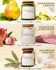 AMYRYLAN sage breeze and sea salt candle for refreshing room tone.