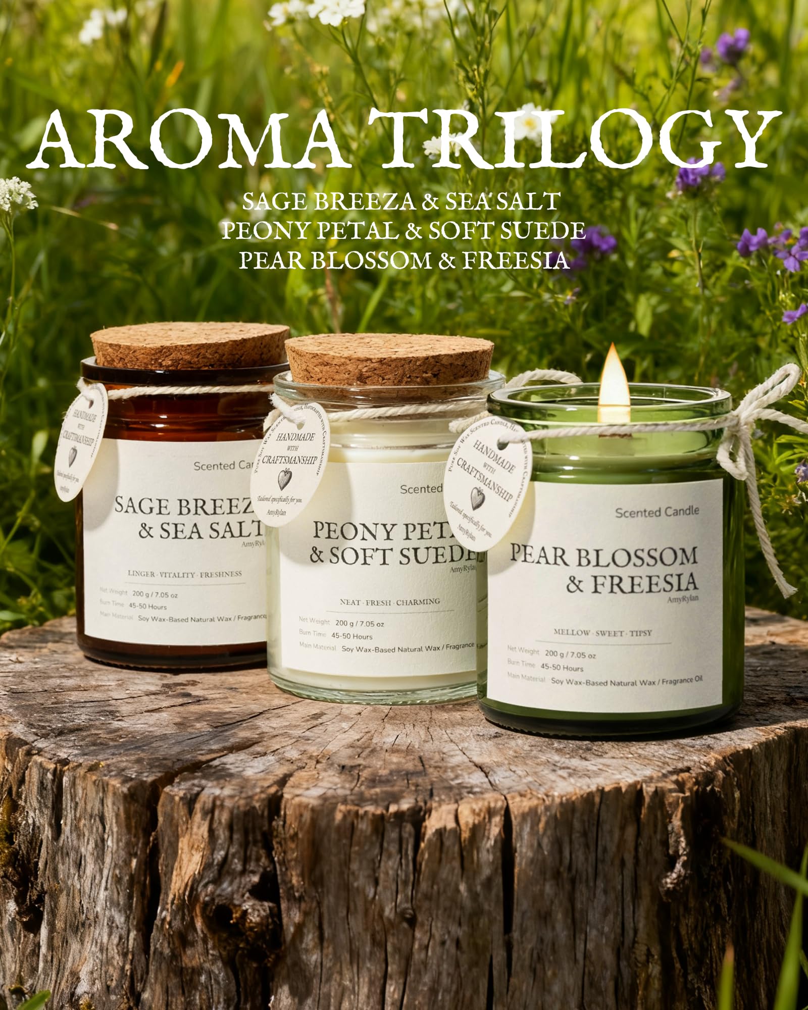 AMYRYLAN three-pack display showing fragrance variety for daily mood enhancement.
