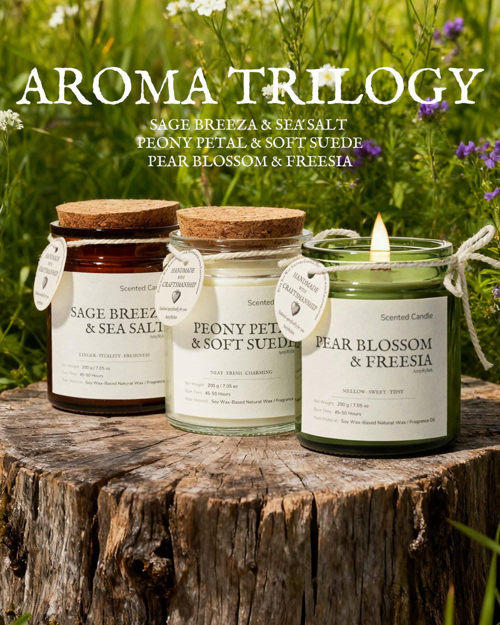AMYRYLAN three-pack display showing fragrance variety for daily mood enhancement.