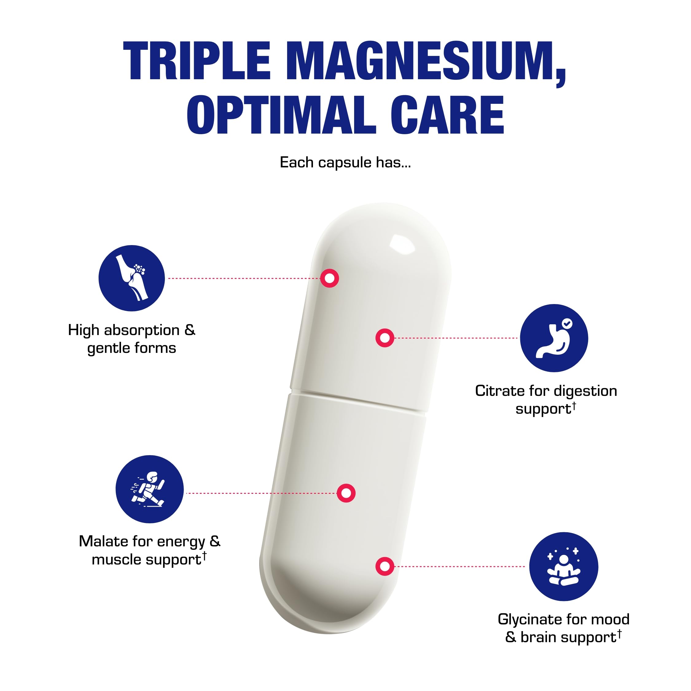 Anabolic Laboratories glycinate capsules indicating gentle daily muscle support