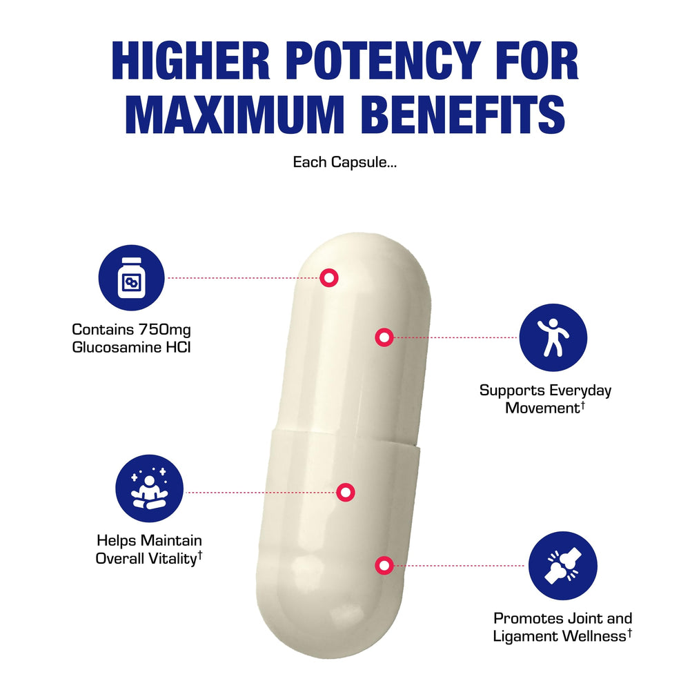 120 servings pack of Anabolic Laboratories vegan glucosamine emphasizes long-lasting supply.