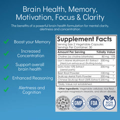 Anathapindika Health Choline Bitartrate panel suggesting mental clarity during work.