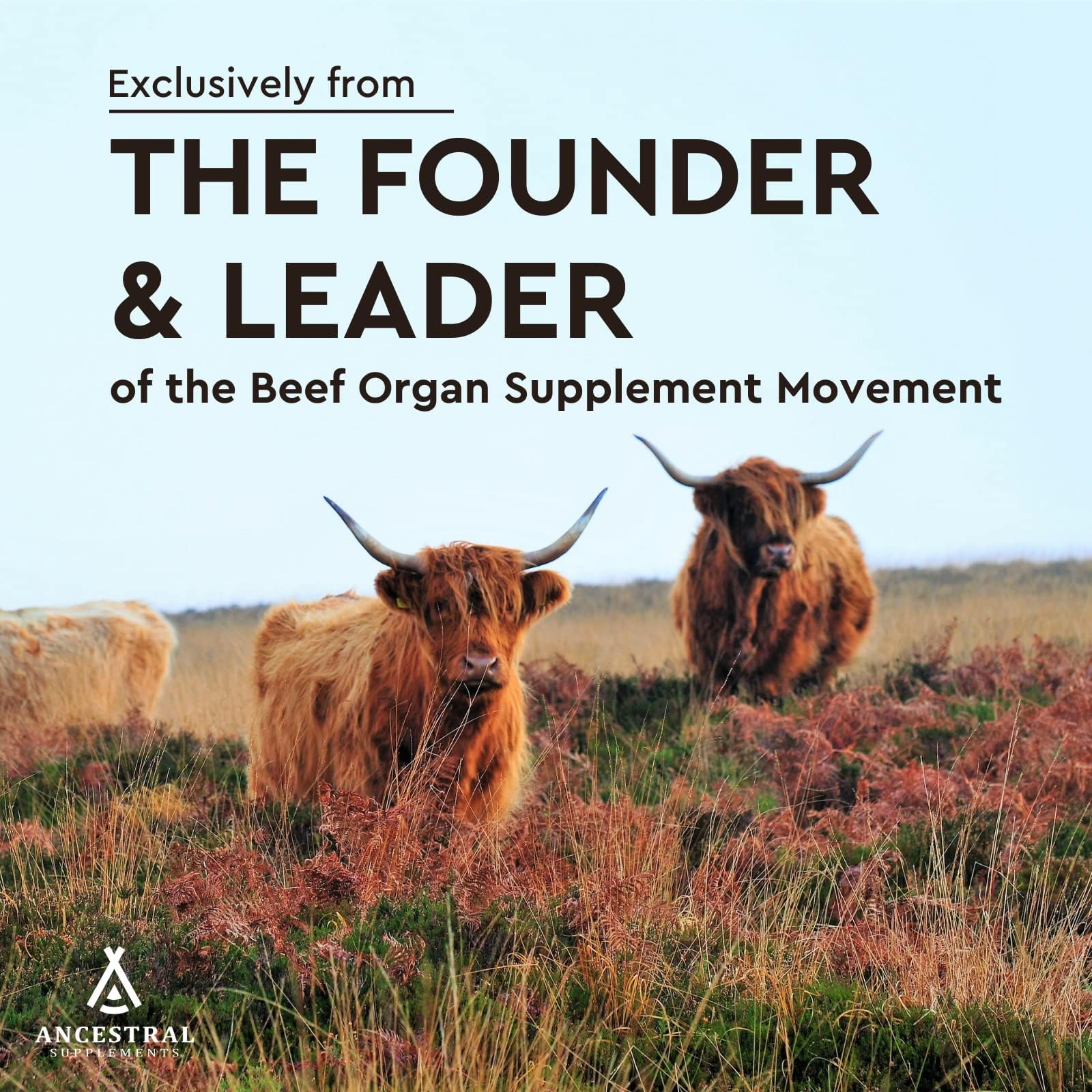 Ancestral Supplements Beef Heart capsules array showing grass-fed origin and density.