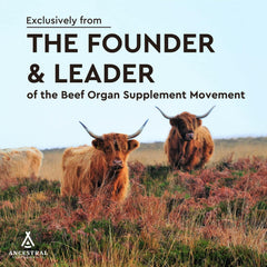 Ancestral Supplements Beef Heart capsules array showing grass-fed origin and density.