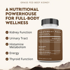 Ancestral Supplements beef kidney capsules closeup highlights compact form for on-the-go support.