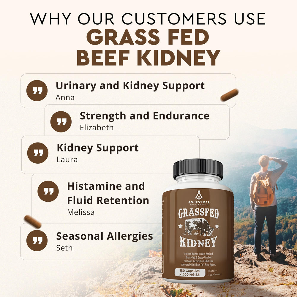 Ancestral Supplements beef kidney dosage-scoop demonstrates precise serving visuals.
