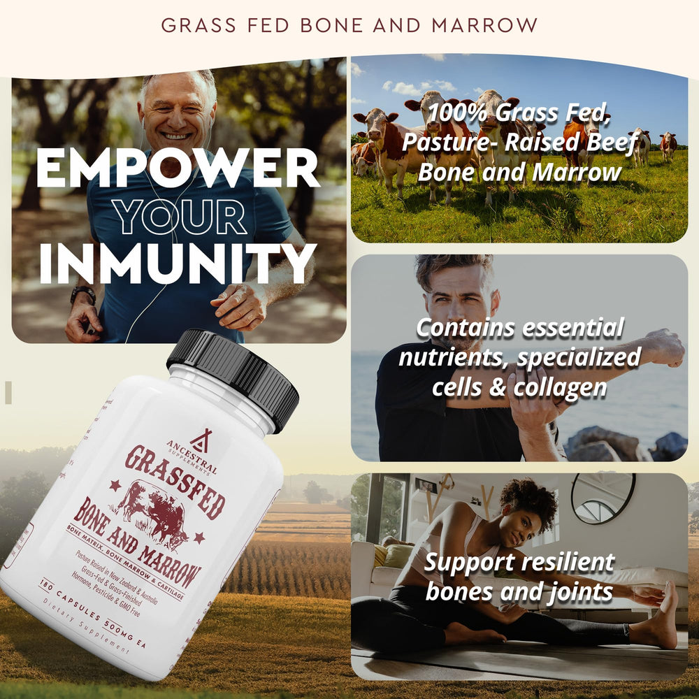 Ancestral Supplements bone marrow capsules highlight bone-derived nutrients in capsules.