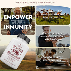 Ancestral Supplements bone marrow capsules highlight bone-derived nutrients in capsules.