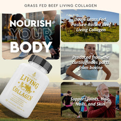 Capsules of Ancestral Supplements Living Collagen for easy daily use